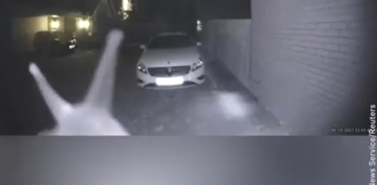 doorbell security footage woman mysterious creature