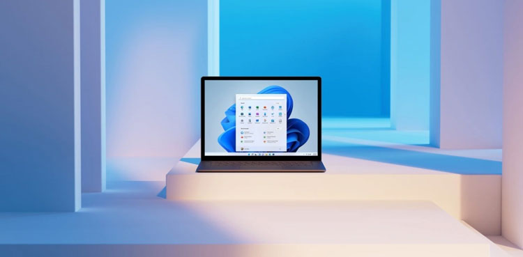 Windows 11 Microphone Switch