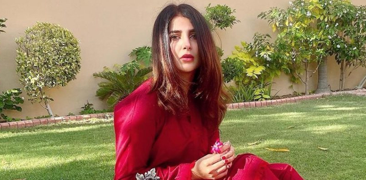 areeba habib, viral pictues,