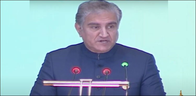 shah mahmood qureshi oic