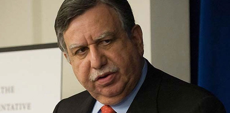 shaukat tarin, senator, kp seat, Khyber Pakhtunkhwa, vacant seat