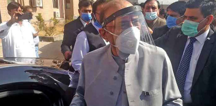 Asif Ali Zardari acquittal plea
