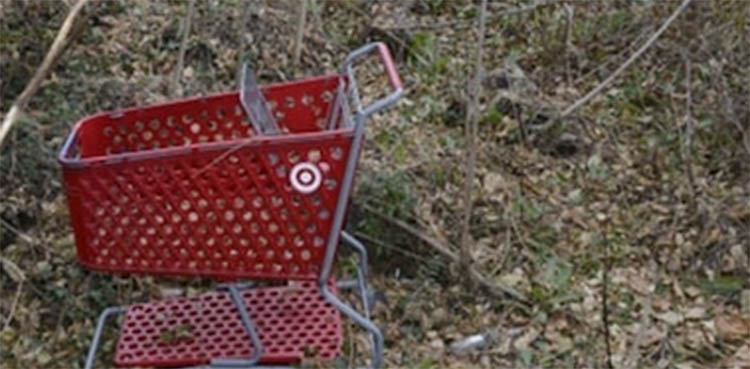 shopping cart serial killer, female victims,