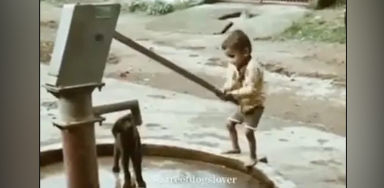 Child, sweet gesture, Viral, video