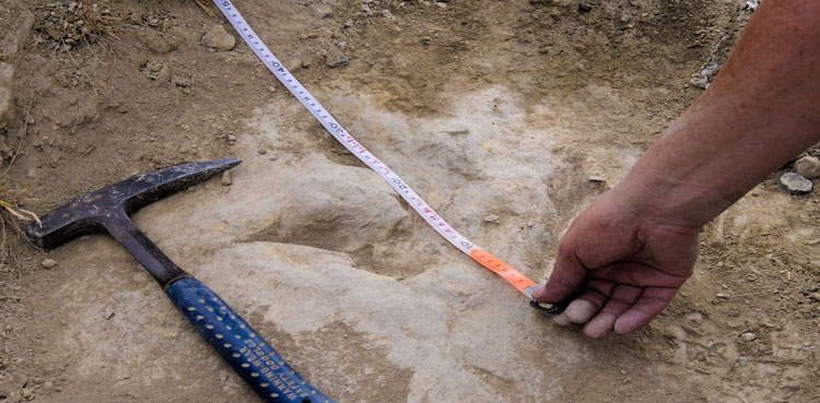 dinosaurs footprints spain