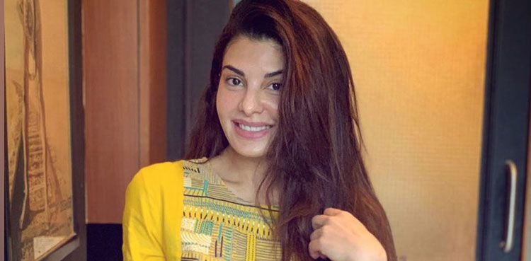 sukesh chandrasekhar , jacqueline fernandez, bollywood actor, money lundering case