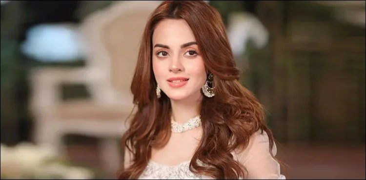 Komal Meer Dramas