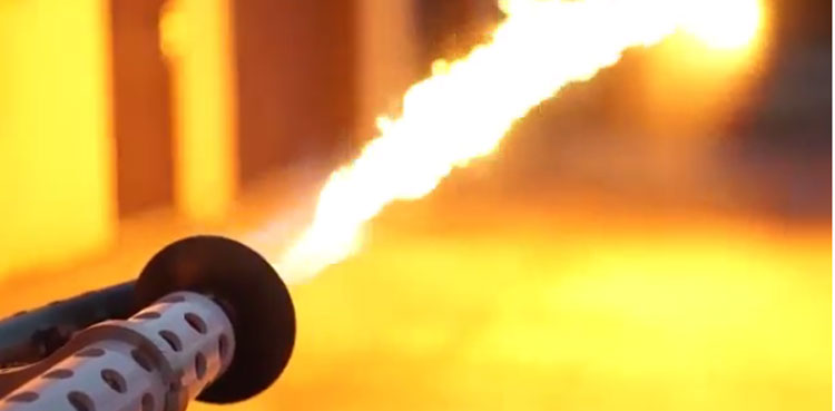 man-arrest-flamethrower-florida