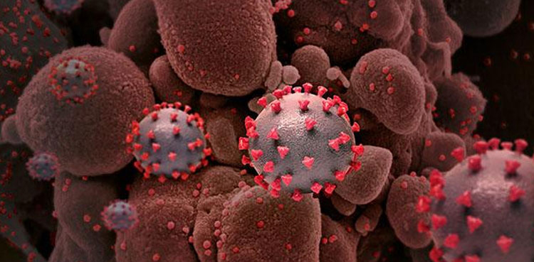 Scientists scrutinise characteristics of new Omicron sub-variant