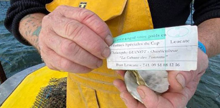 Shellfish farmer Oyster theft