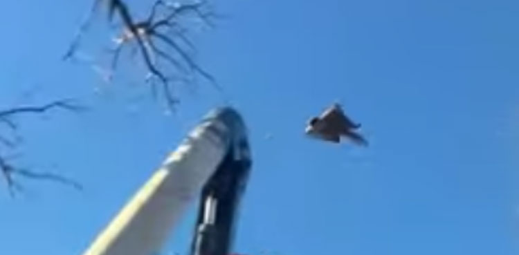 flying squirrel, Nebraska state, video viral