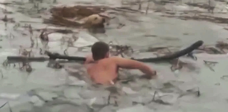 police rescue dog video