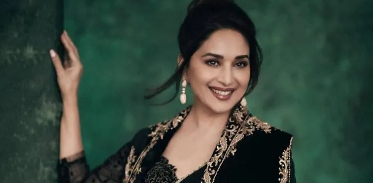 Madhuri Dixit, The Fame Game, Netflix, Web Show
