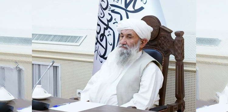 Afghan Taliban, ICC arrest warrant request, protest rally