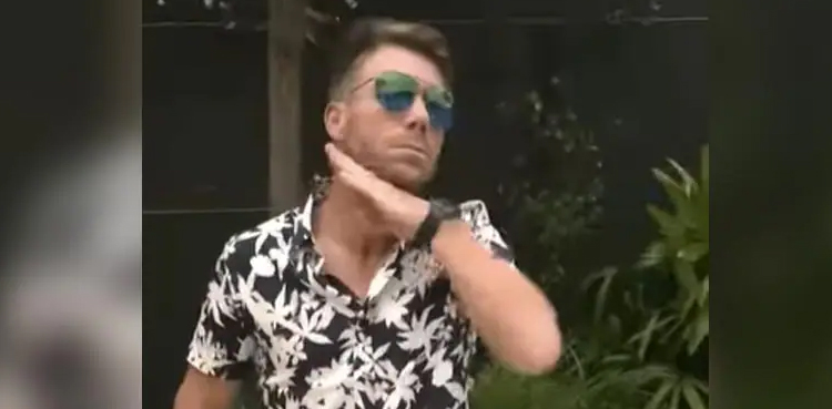 david warner, cricketer david warner, allu arjun, pushpa: the rise