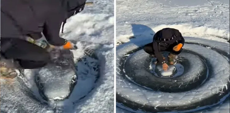 ice-snake-sculpture