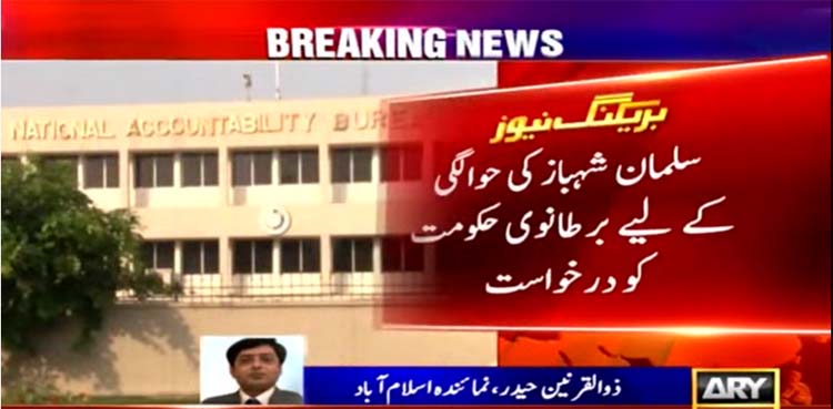 Salman Shehbaz, UK government, NAB,