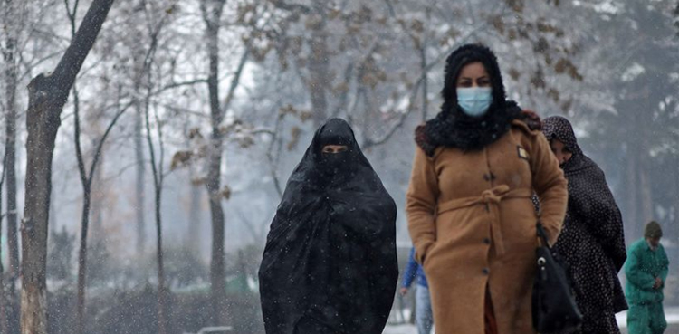 Afghanistan, morality law, UN concern