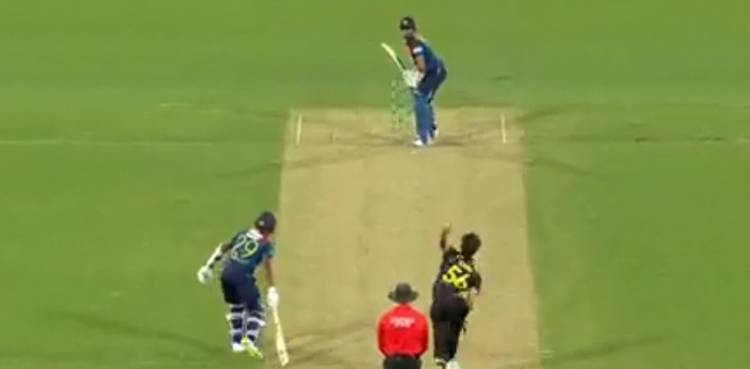 australia, mitchell starc, viral video