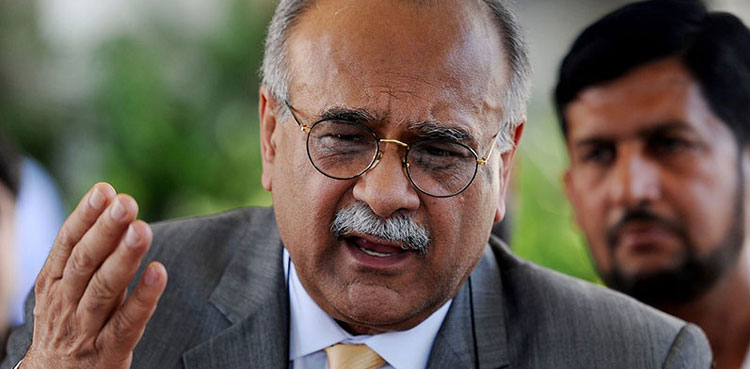 Najam Sethi, defamation case, PM Imran Khan, Bushra Bibi