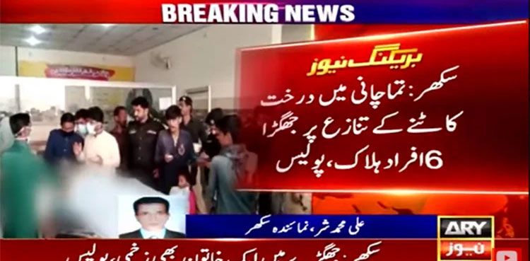 sukkur, tree cutting, Six killed, Tamachani