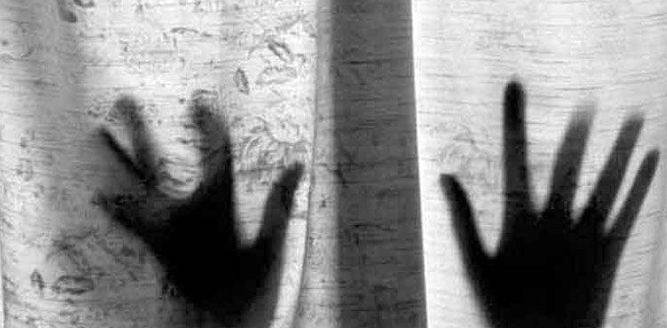 gang-rape, Surjani Town, Two robbers, Killed