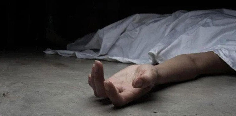 Man kills wife for refusing money to buy drugs