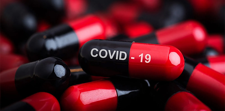 Shionogi COVID pill