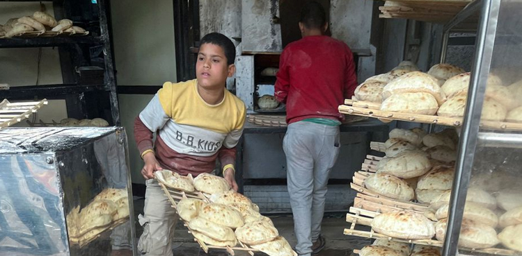 bread price egypt imf