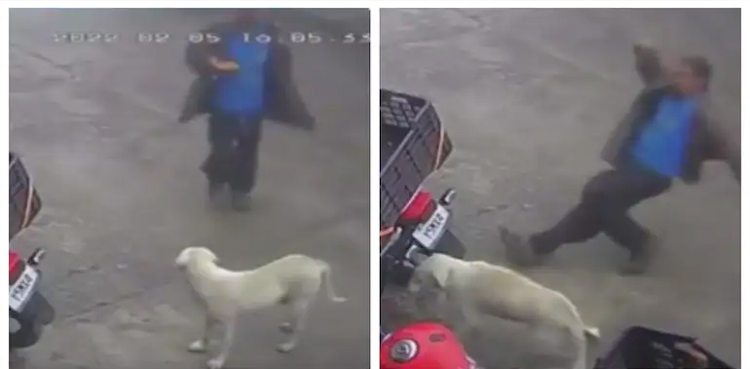 man falling, video, instant karma, Kick dog
