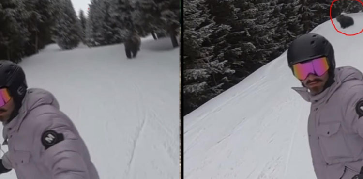 man-bear-chase