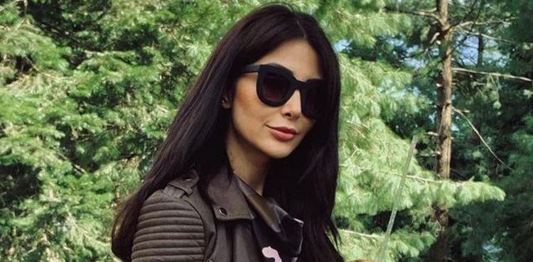 Sabeeka Imam, Actor, Cyber Crime, FIA