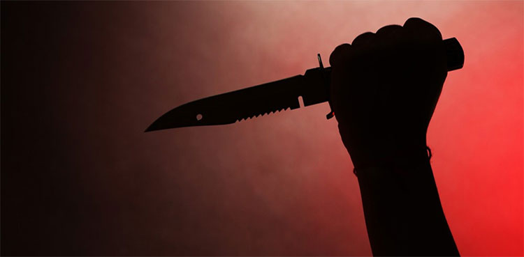 Drug addict, Stabs wife to death