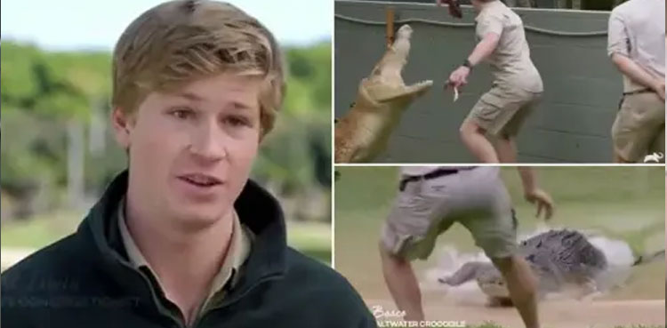 steve-irwin-son-crocodile-attack