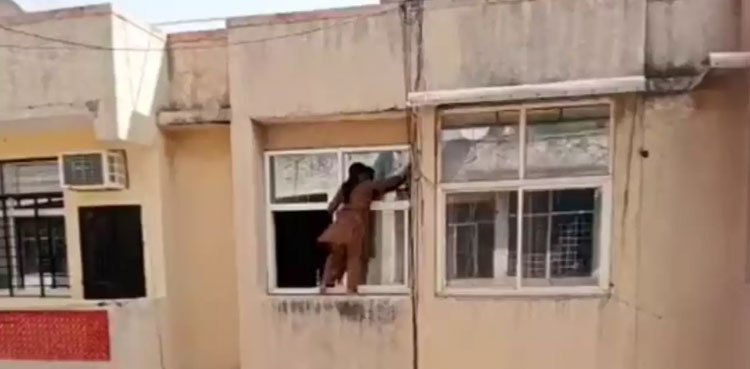 window cleaning viral video