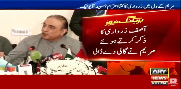 Maryam Nawaz, leaked audio, Asif Zardari, Abusing