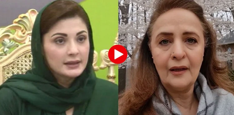 Hina Khawaja, Maryam Nawaz, PML-N, Purana Pakistan