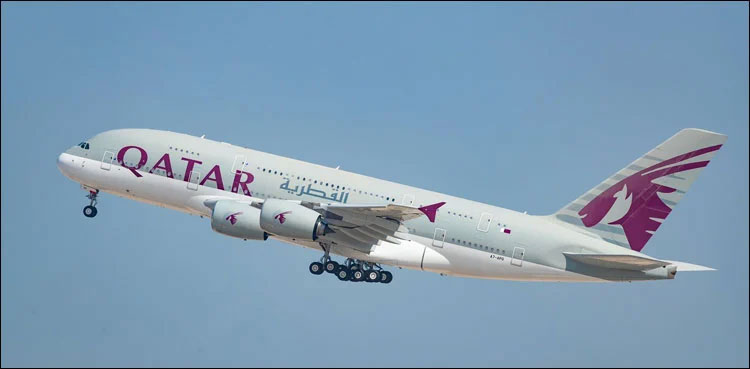Lahore airport, qatar airways, plane escapes accident, bird strike