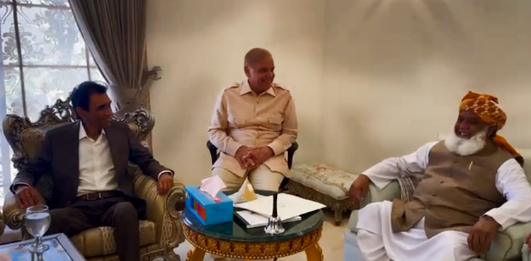 Shehbaz Sharif, delegation, MQM-P, PML-N