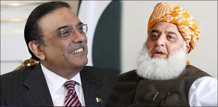 President Zardari Fazl ur Rehman meeting