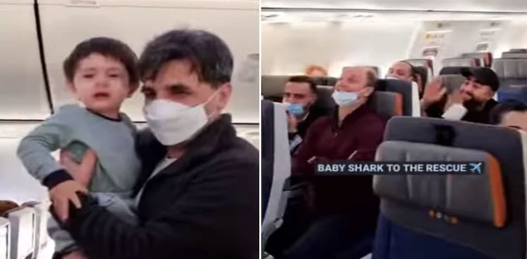 crying baby, baby shark, plane, viral