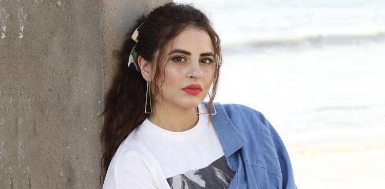 actor fatima effendi, sajal ahad divorce