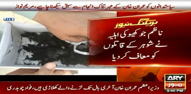 Nazim Jokhio, Wife, PPP, pardons killers