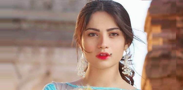 Neelam Muneer Khan, viral picture
