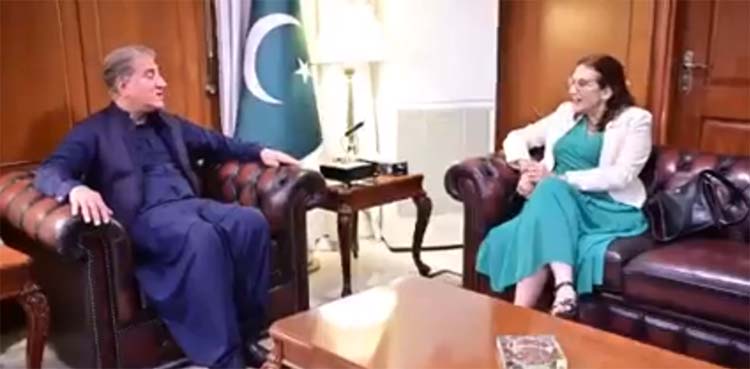 shah mahmood qureshi, eu ambassador,