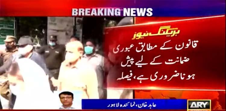 shehbaz sharif granted bail