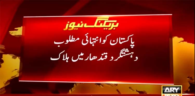 TTP, Afghanistan, terrorist,