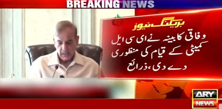 ECL committee, Cabinet, Shehbaz Sharif, Federal cabinet