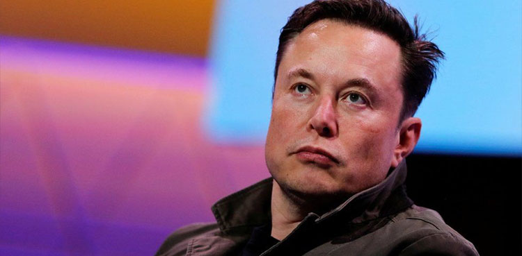 DOGE, US judges, Elon Musk