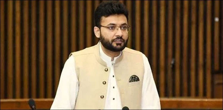 Farrukh Habib imported government